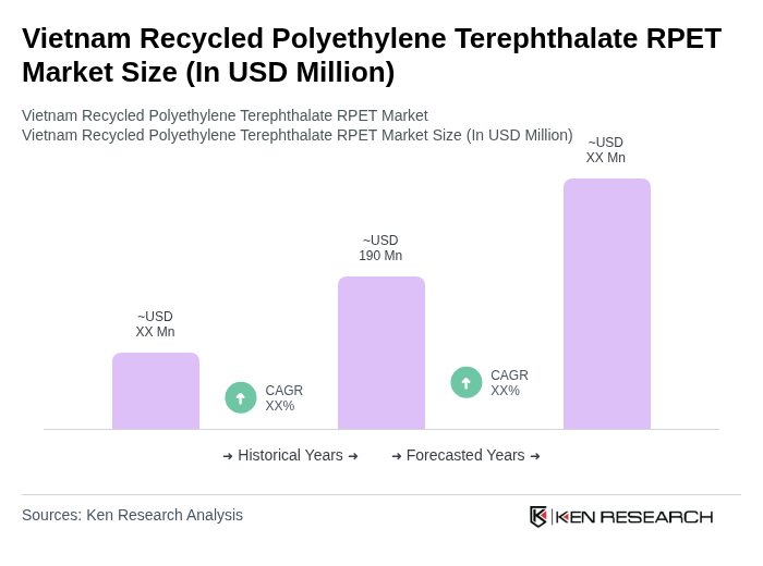 Vietnam Recycled Polyethylene Terephthalate RPET Market Size Infographic