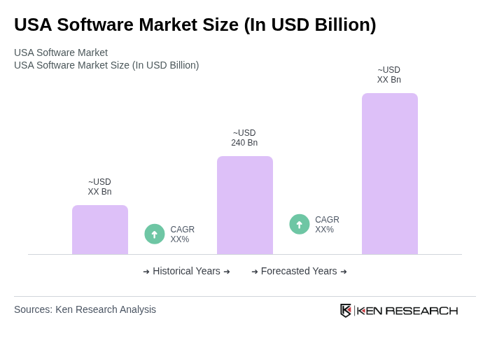 USA Software Market Size Infographic