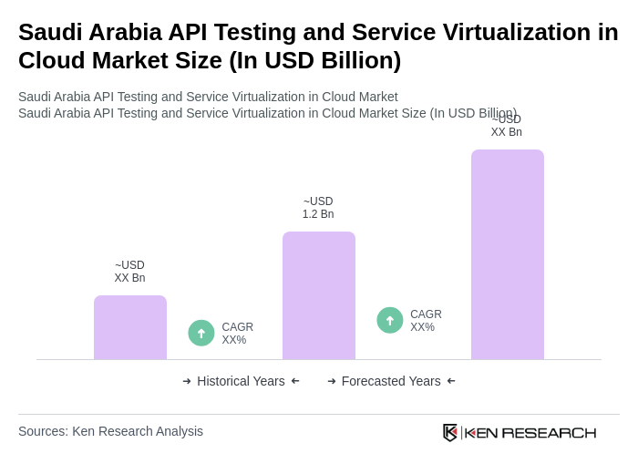 Saudi Arabia API Testing Market | 2019 – 2030 | Ken Research