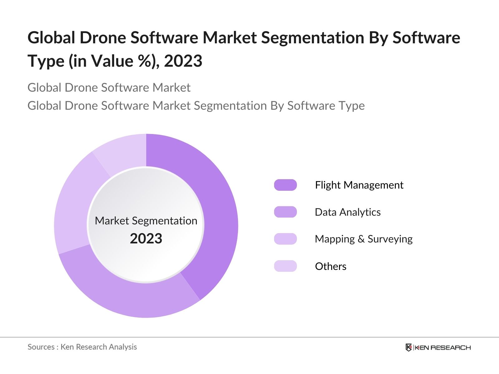 Global Drone Software Market Segmentation by application