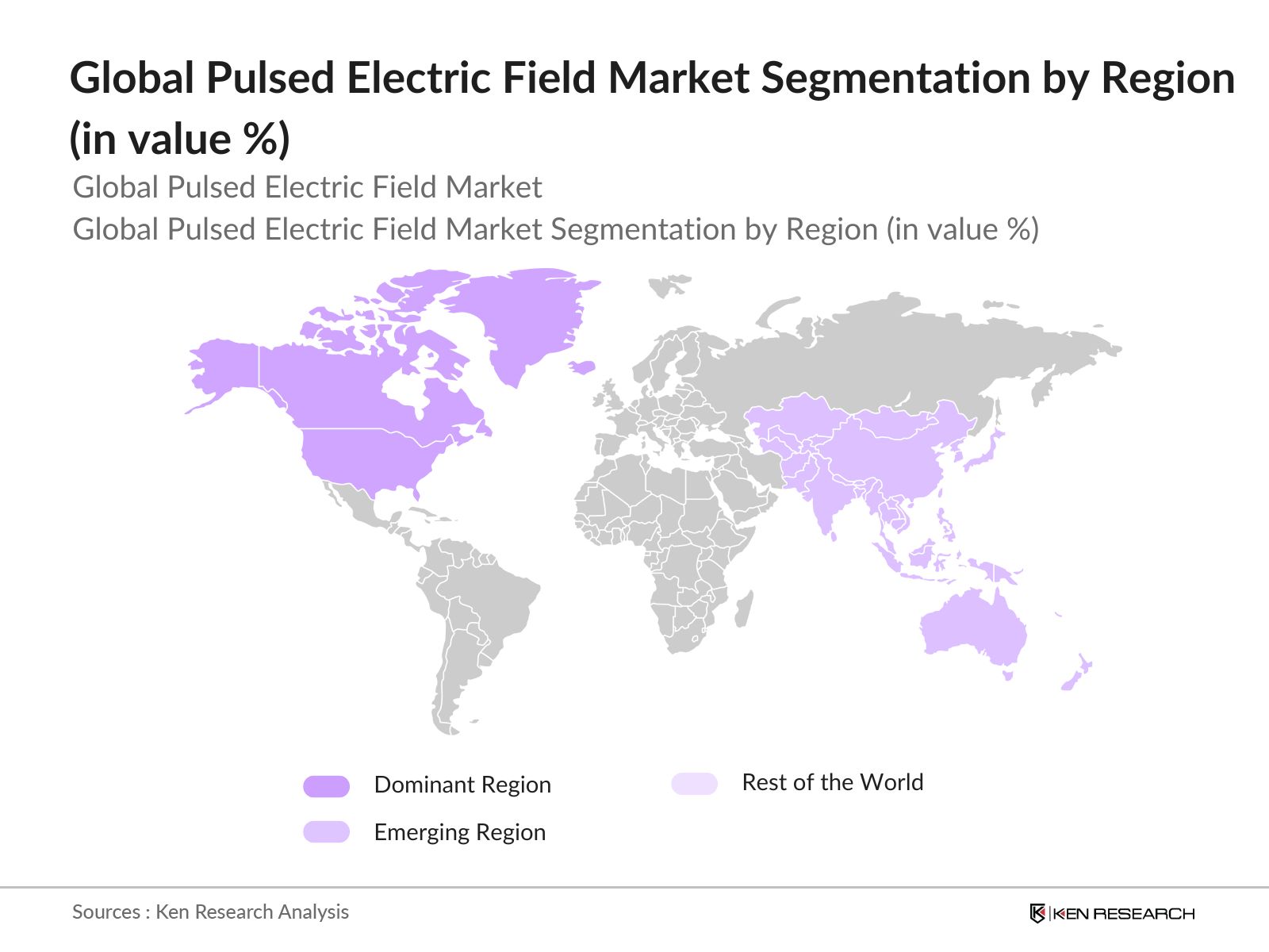 Global Pulsed Electric Field (PEF) Technology Market Segmentation
