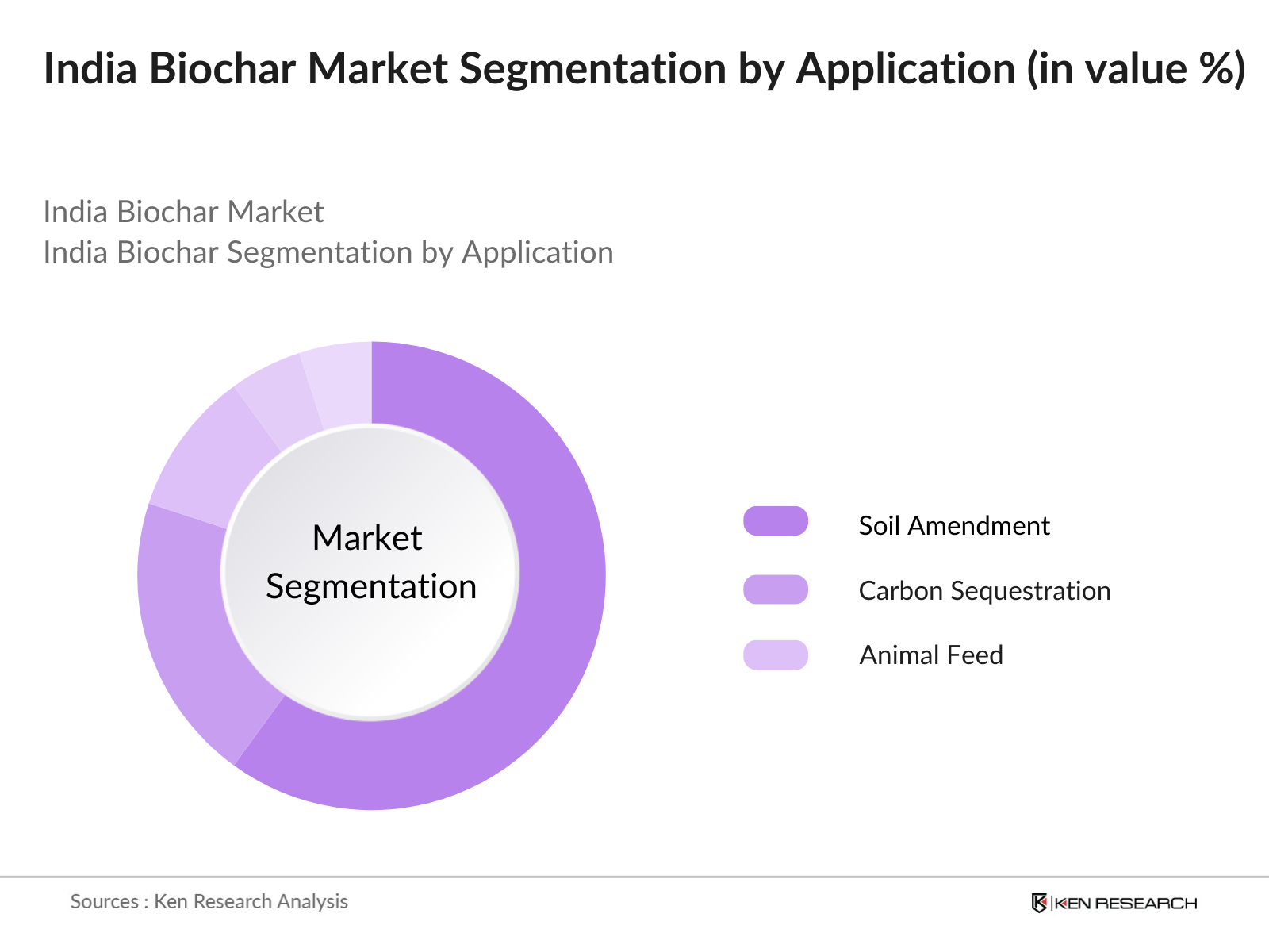 India Biochar Market Segmentation