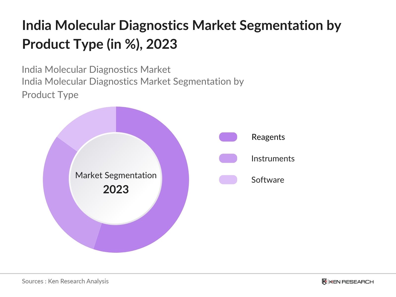 India Molecular Diagnostics Market Segmentation By Product Type