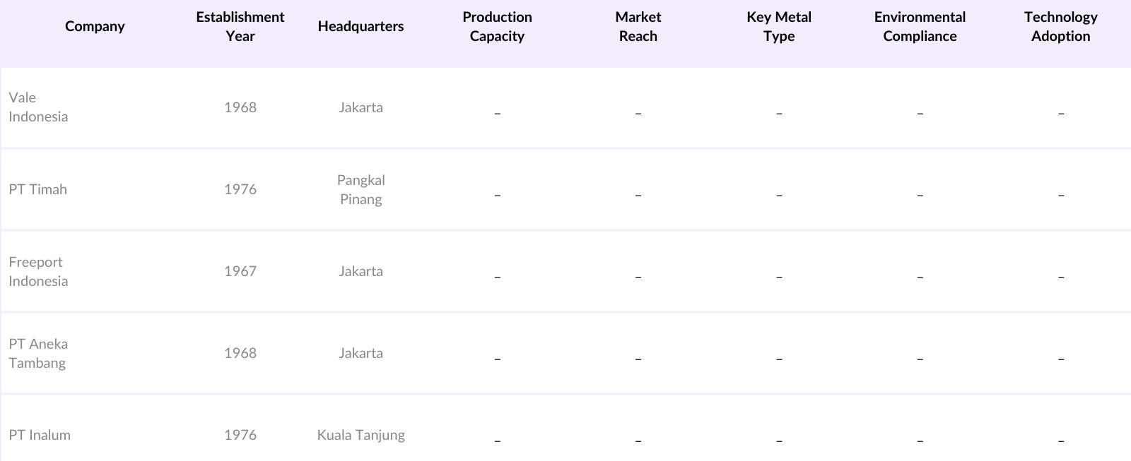 Indonesia Base Metal Mining Market Competitive Landscape
