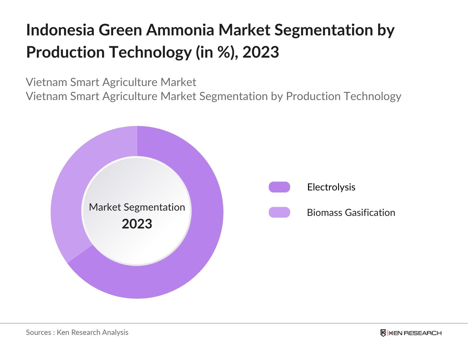 Indonesia Green Ammonia Market by Production Technology