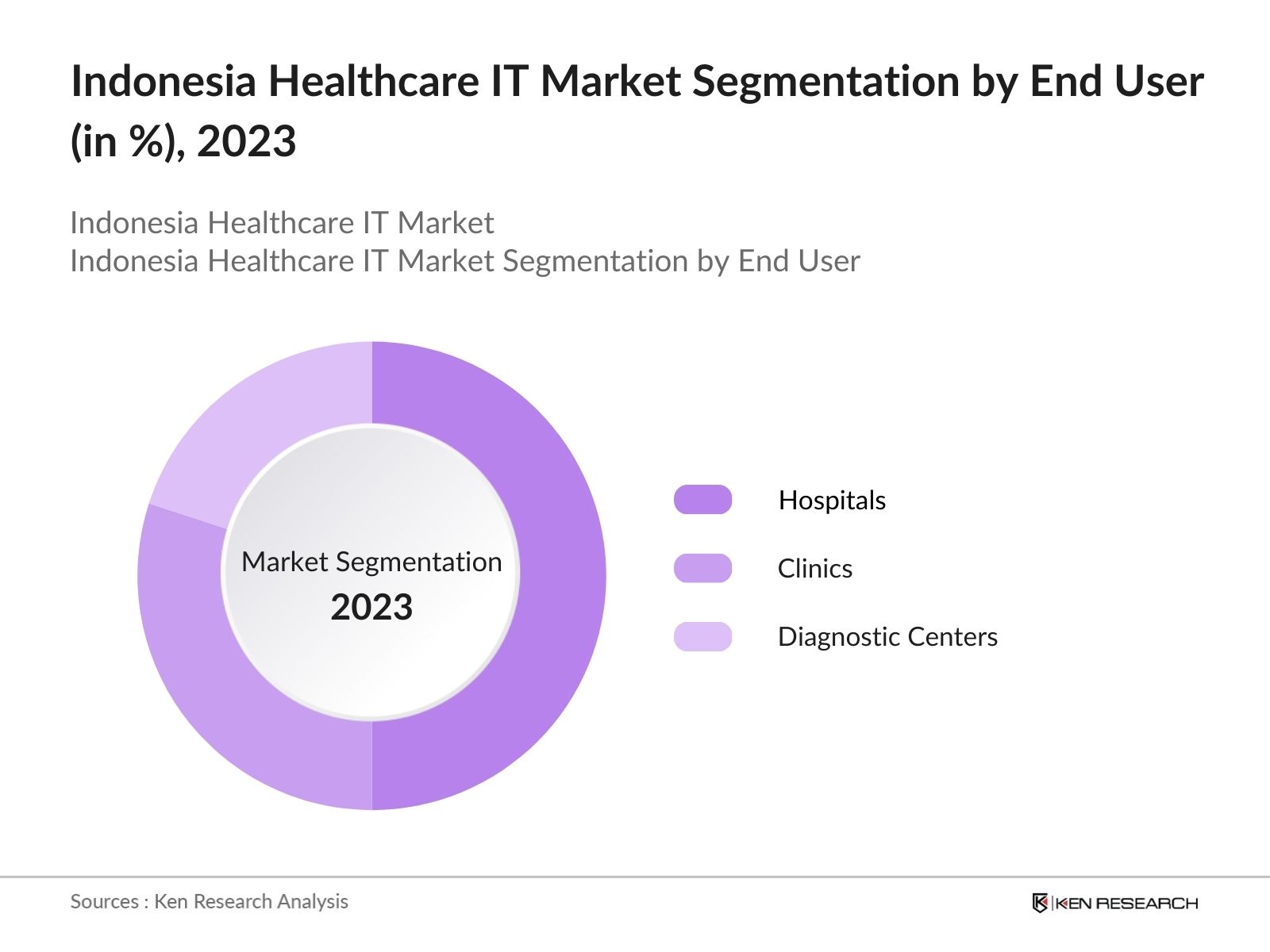 Indonesia Healthcare IT Market Segmentation by End User