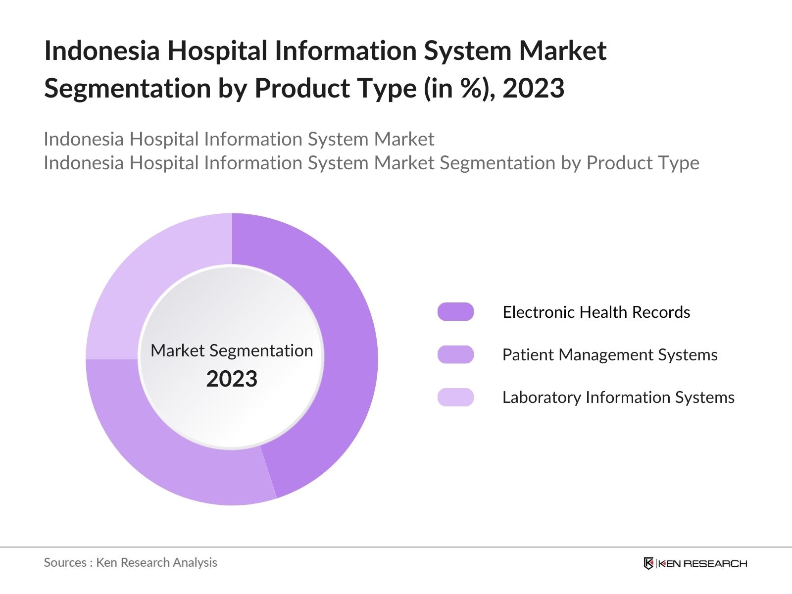 Indonesia Hospital Information System Market Segmentation by Product Type