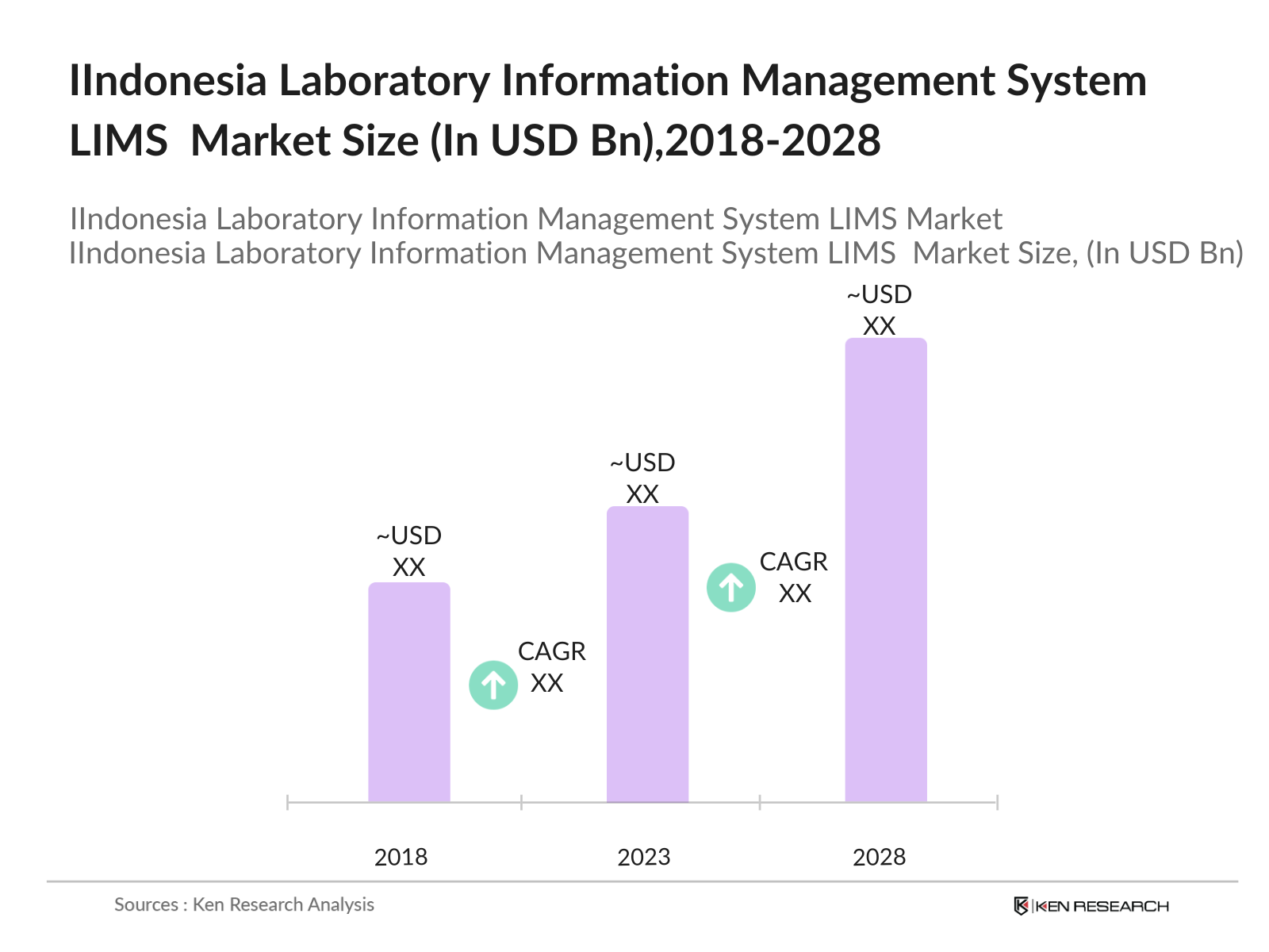 Indonesia Laboratory Information Management System Future Market Size