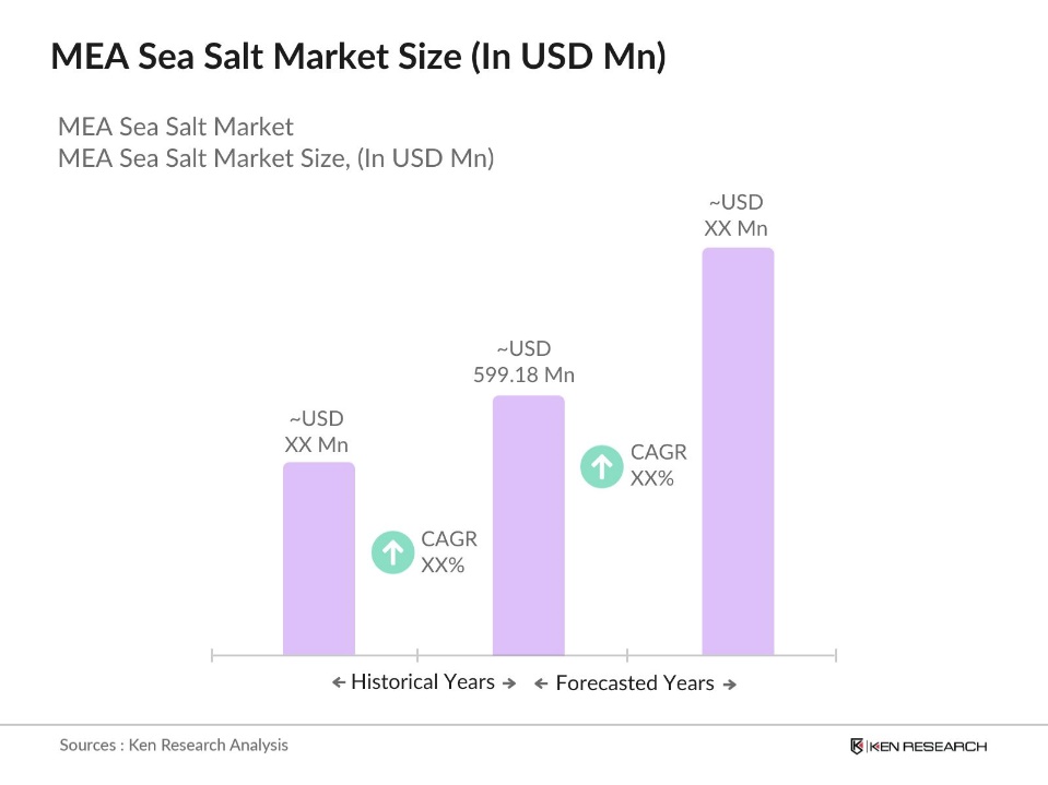 MEA Sea Salt Market size