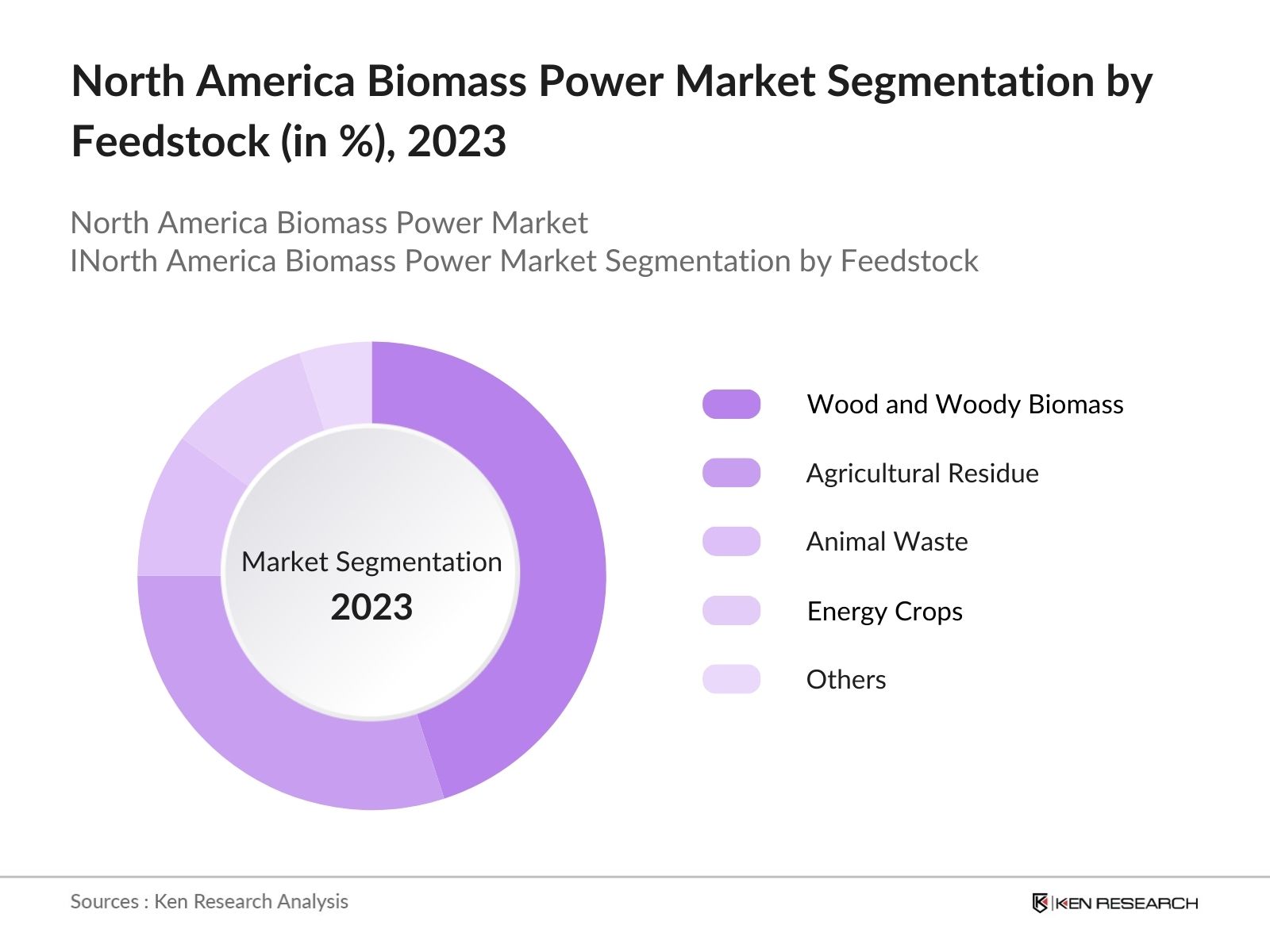 North America Biomass Power Market Segmentation
