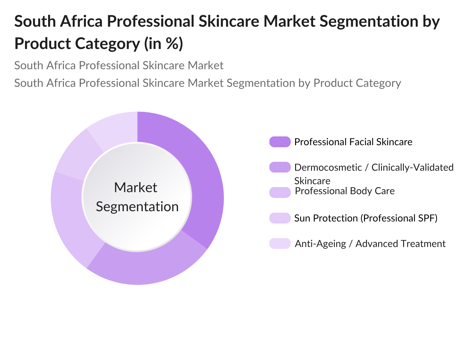 South Africa Professional Skincare Market Segmentation By Product Category South Africa Professional Skincare Market Segmentation By Product Category