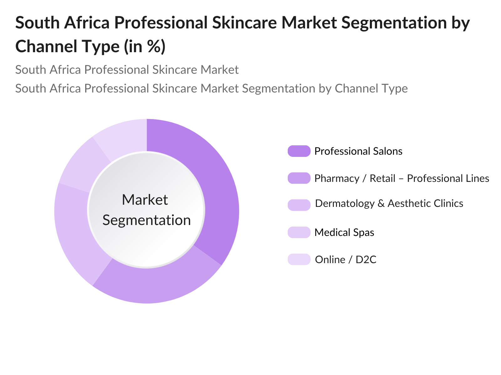South Africa Professional Skincare Market Segmentation By Channel Type South Africa Professional Skincare Market Segmentation By Channel Type