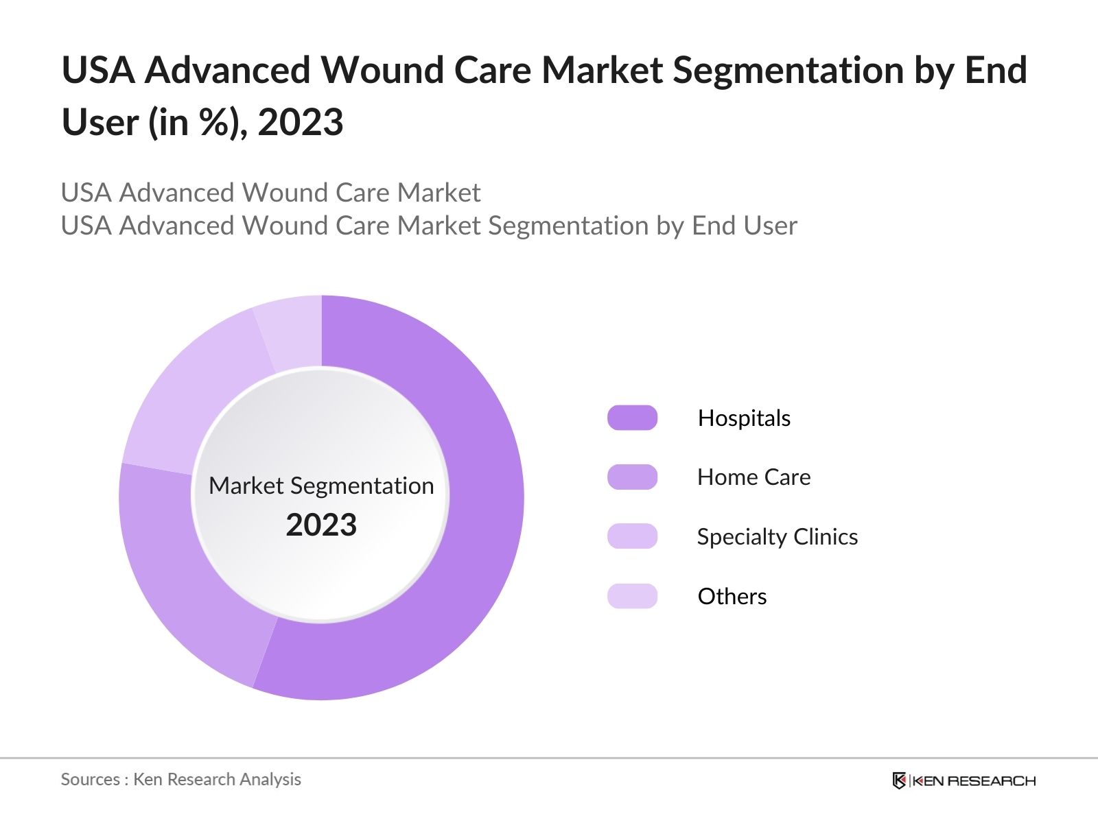 USA Advanced Wound Care Market Segmentation by End User