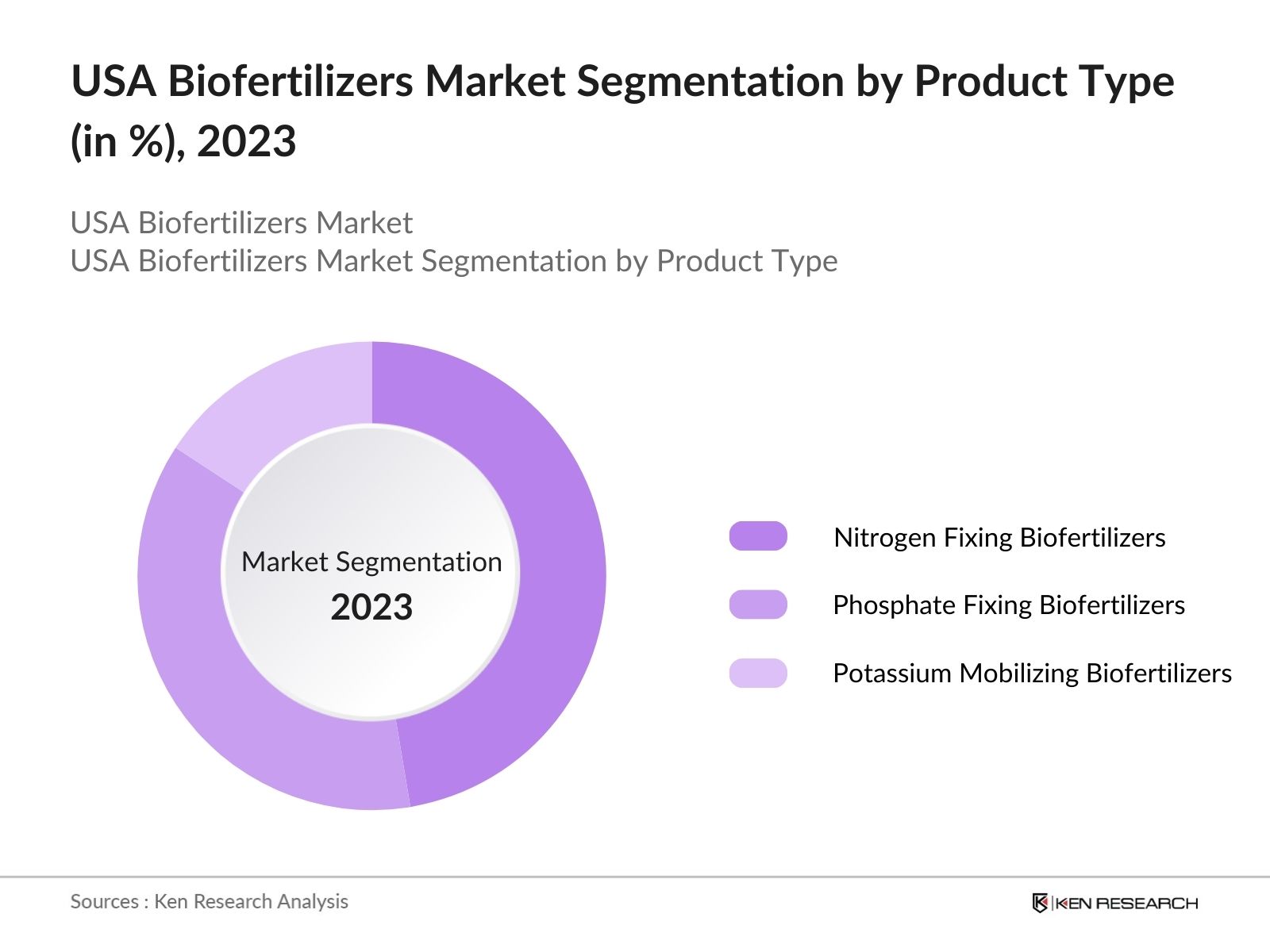 USA Biofertilisers Market Segmentation by Product Type