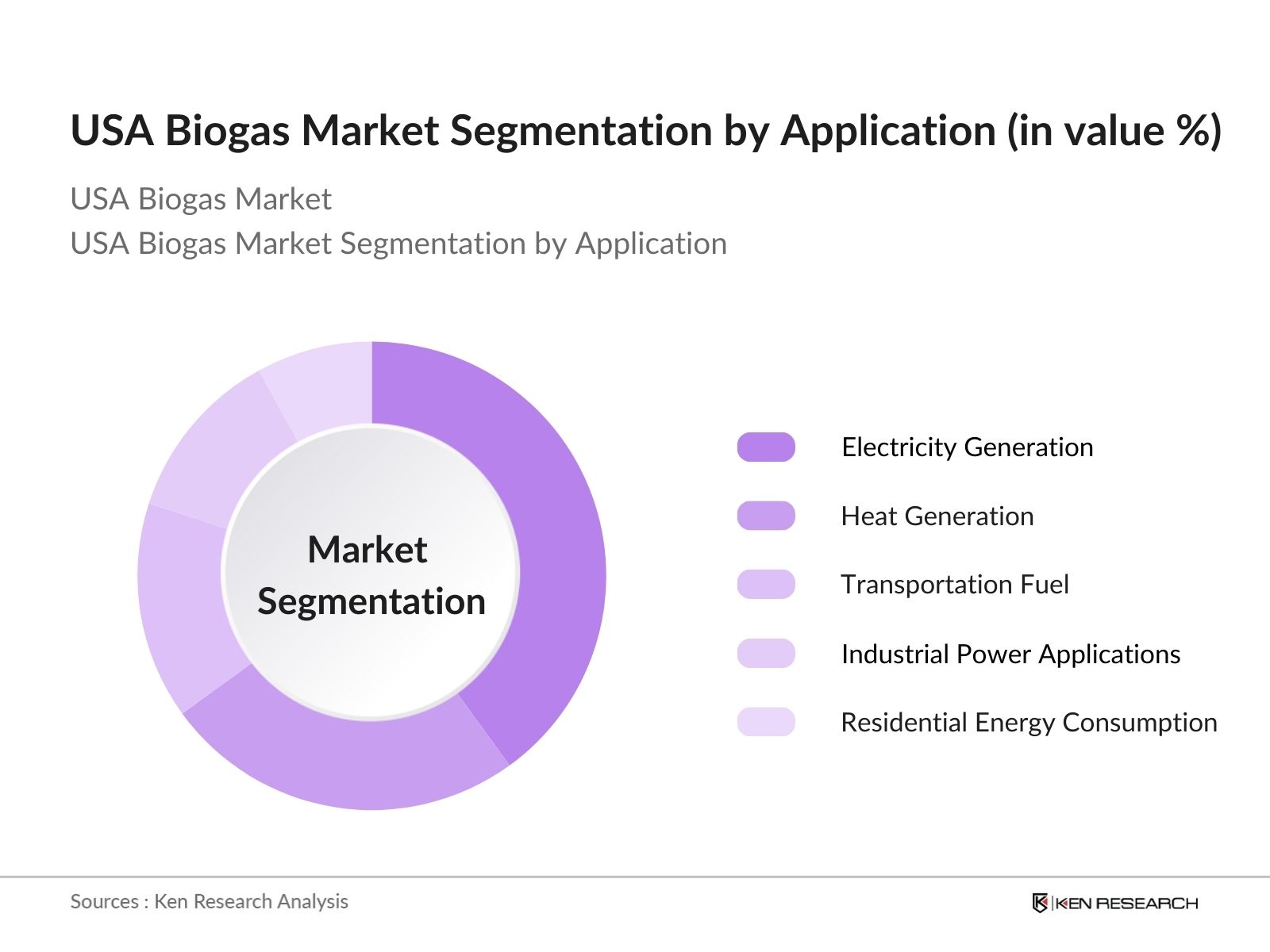 USA Biogas Market Segmentation By Application