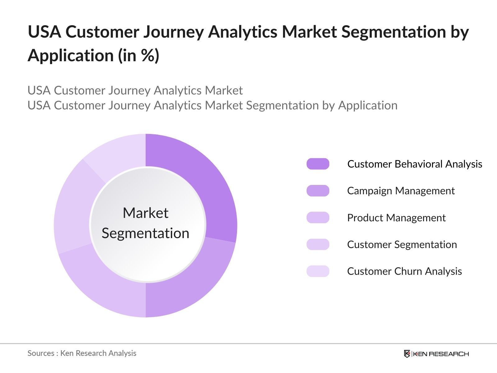 USA Customer Journey Analytics Market Segmentation by Application