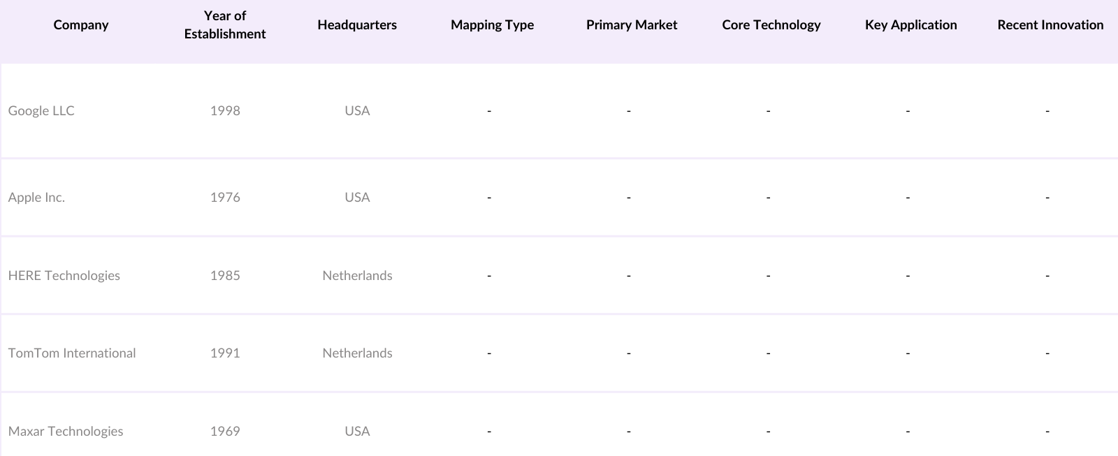 USA Digital Map Market Competitive Landscape