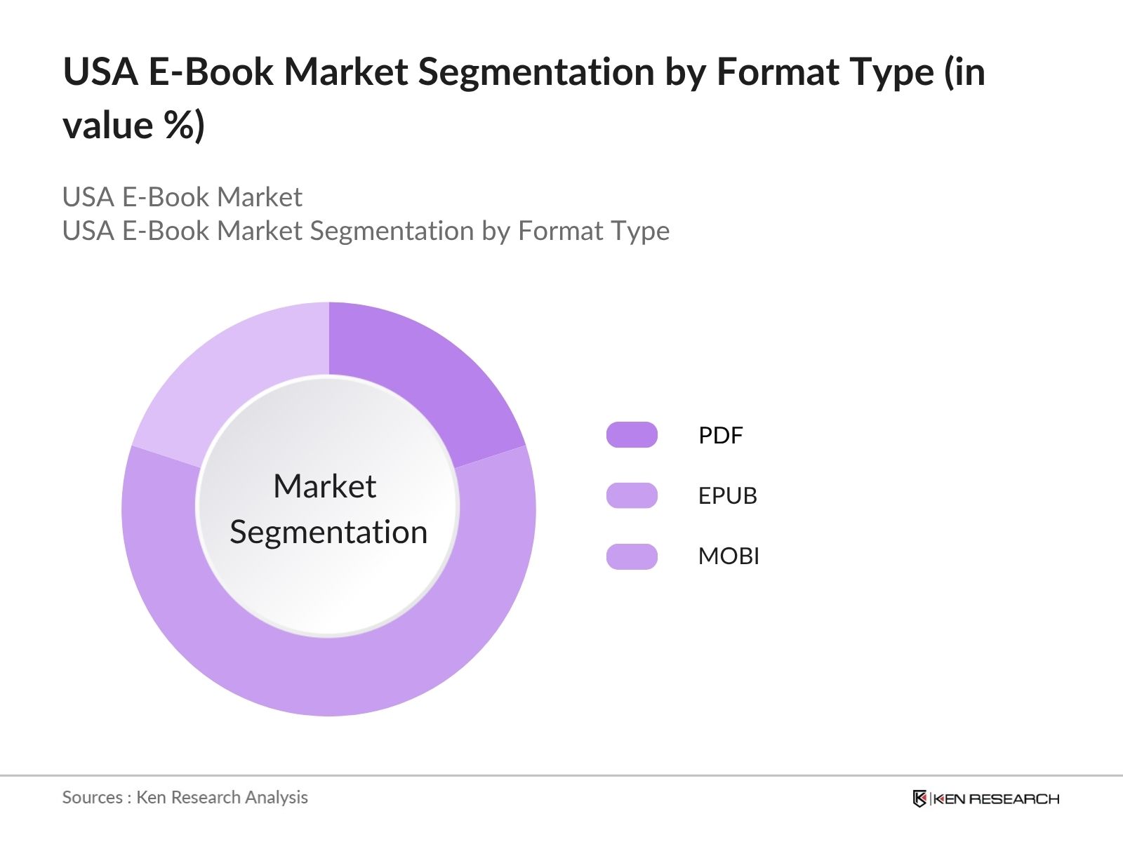 USA E-Book Market Segmentation