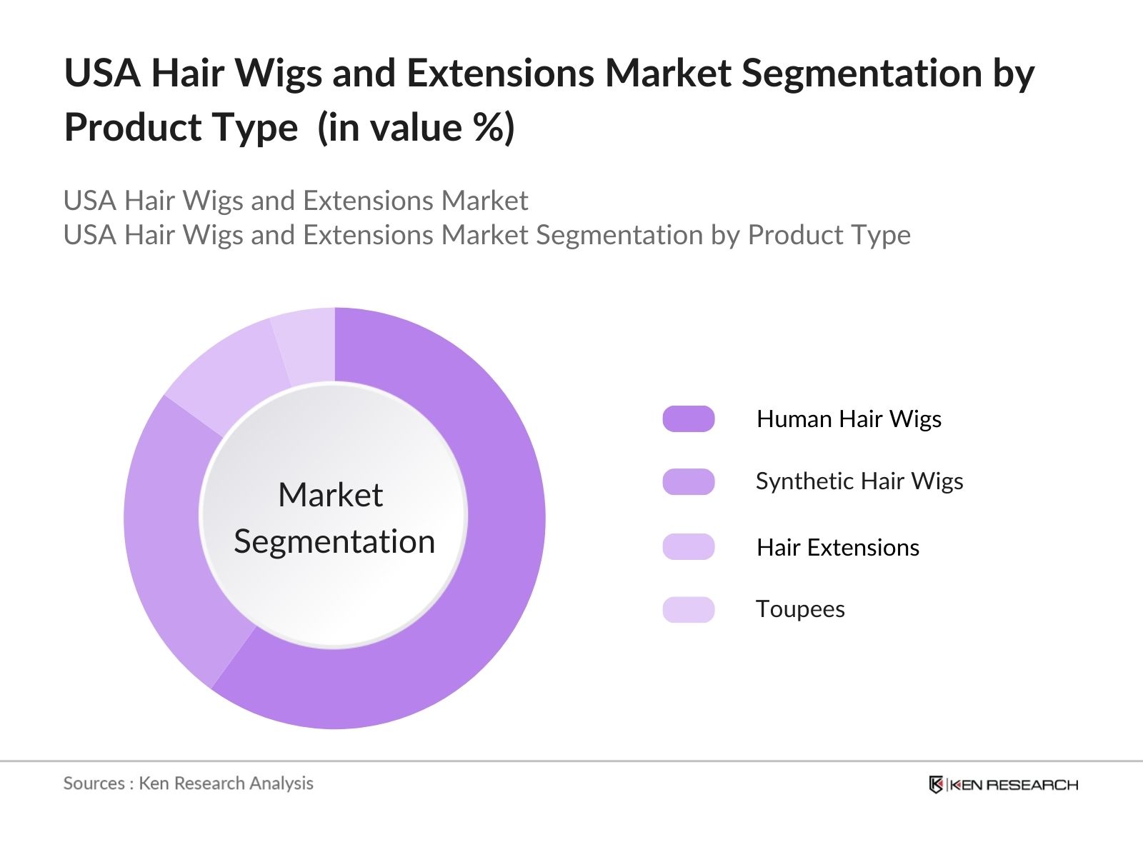 USA Hair Wigs and Extension Market Segmentation by Product Type