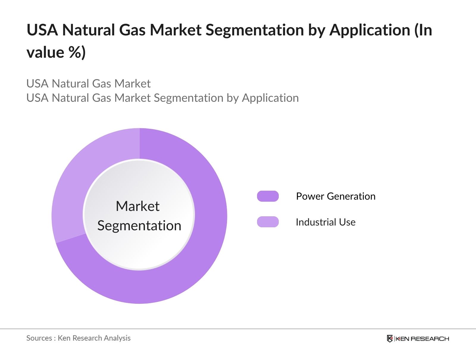 USA Natural Gas Market Segmentation By Application