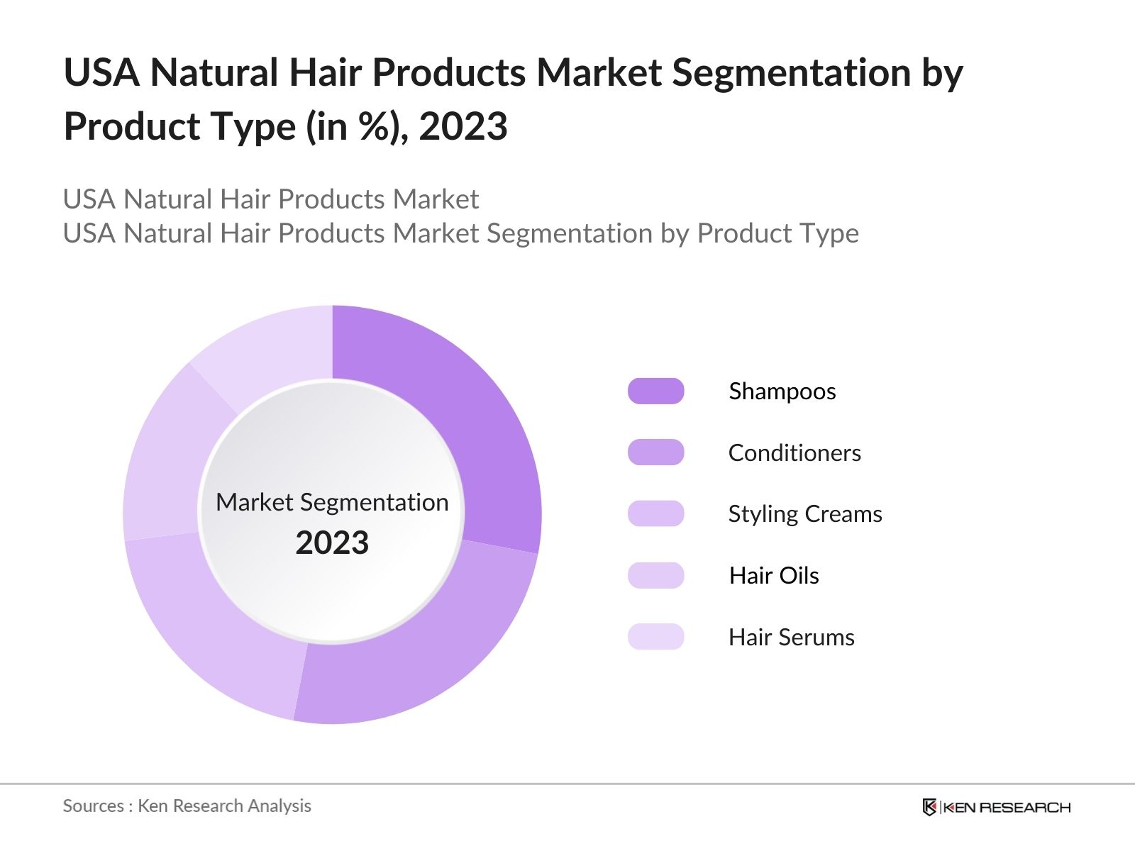 USA Natural Hair Products Market Segmentation by Product Type