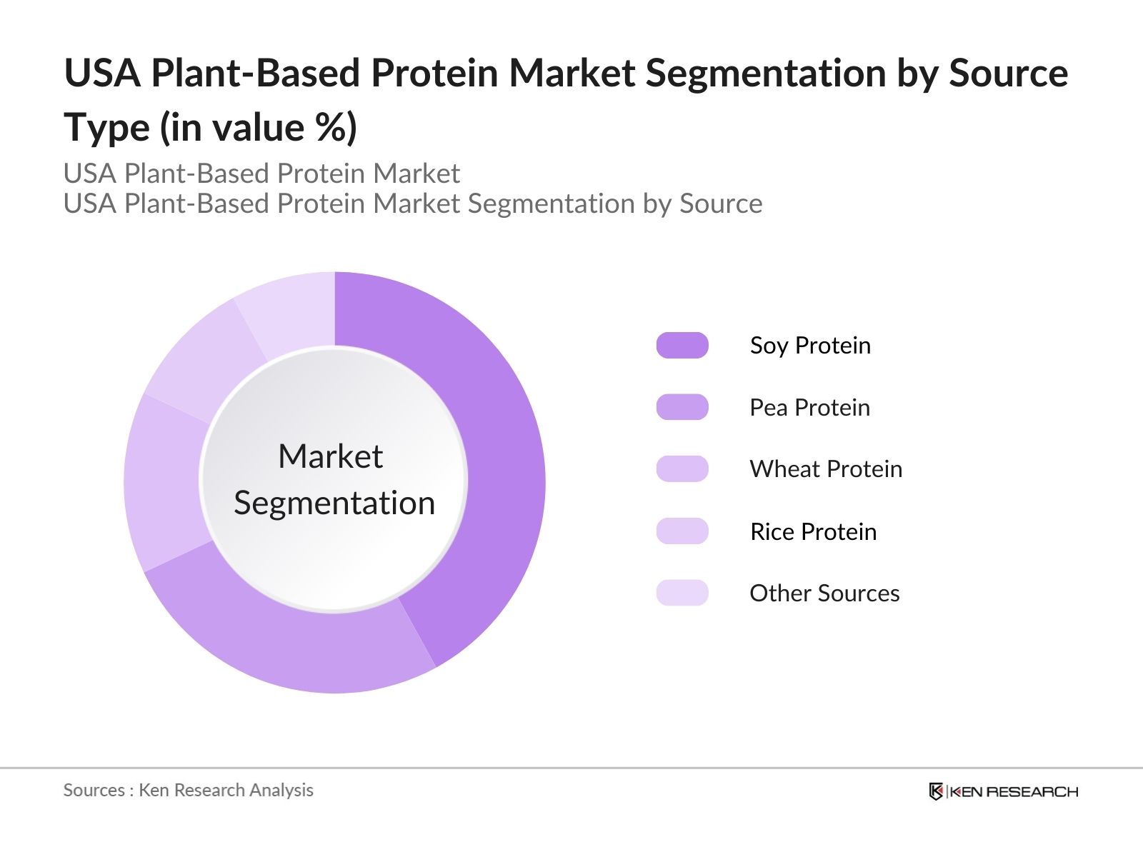 USA Plant-Based Protein Market Segmentation by Source Type