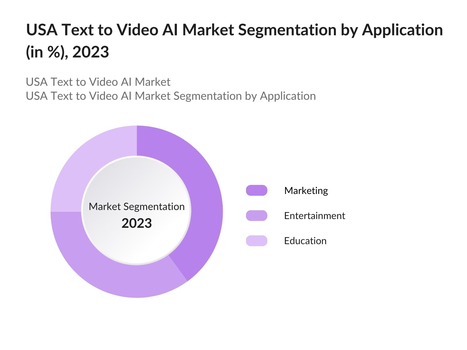 USA Text to Video AI Market Segmentation