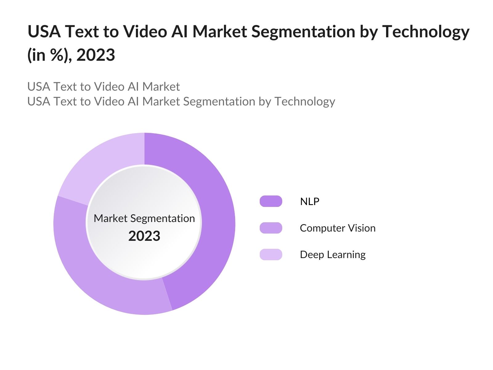 USA Text to Video AI Market Segmentation