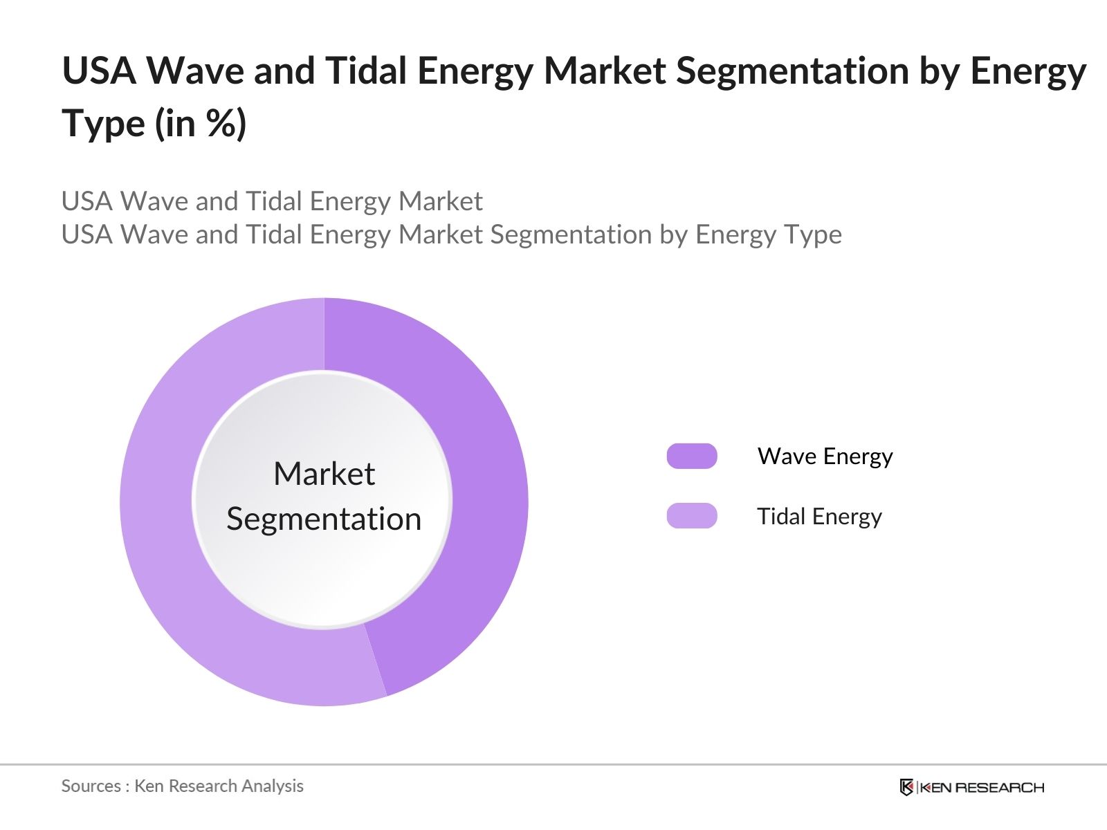 USA Wave and Tidal Energy Market Segmentation By Energy Type