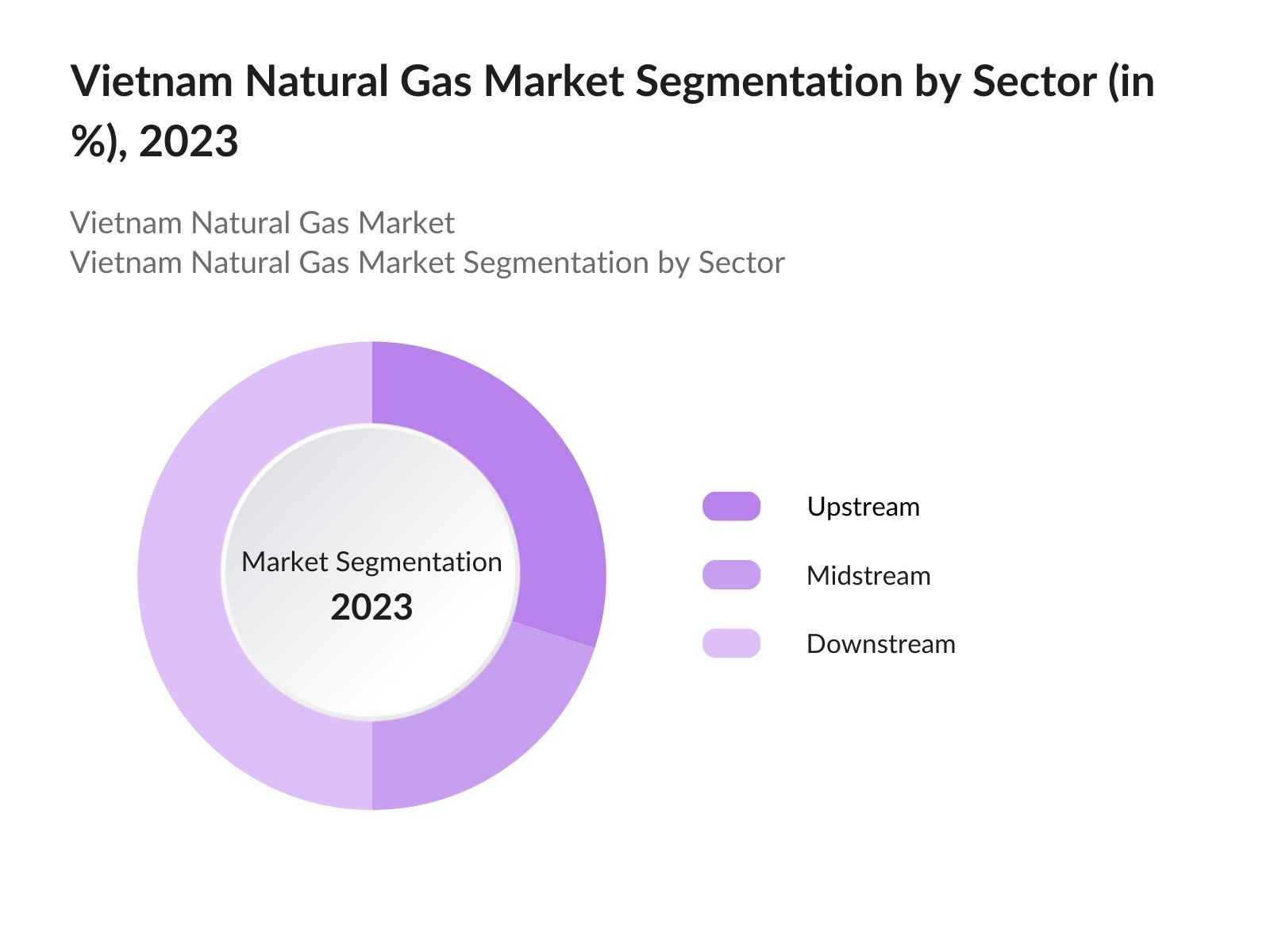 Vietnam Natural Gas Market By Sector