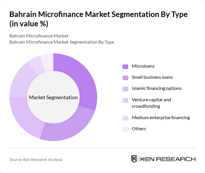 Bahrain Microfinance Market segmentation by Type.