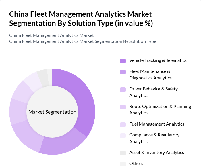 China Fleet Management Analytics Market segmentation by Solution Type.