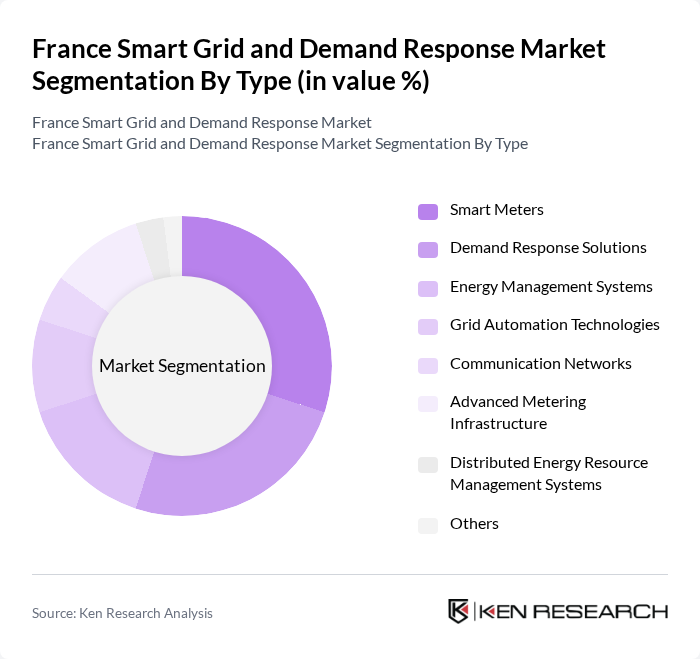 France Smart Grid and Demand Response Market segmentation by Type.