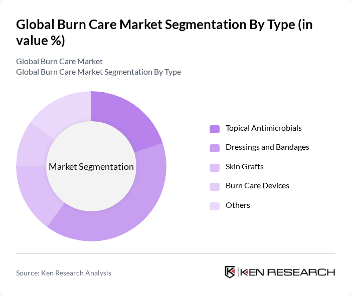 Global Burn Care Market segmentation by Type.