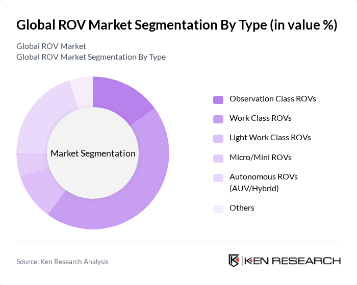 Global ROV Market segmentation by Type.