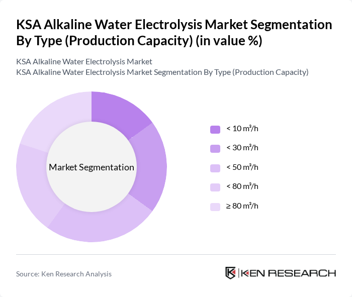 KSA Alkaline Water Electrolysis Market segmentation by Type (Production Capacity). KSA Alkaline Water Electrolysis Market segmentation by Type (Production Capacity).