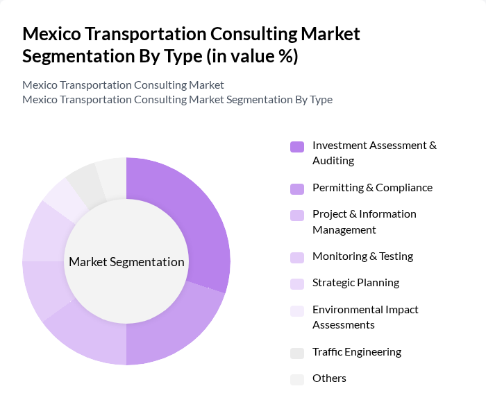 Mexico Transportation Consulting Market segmentation by Type.
