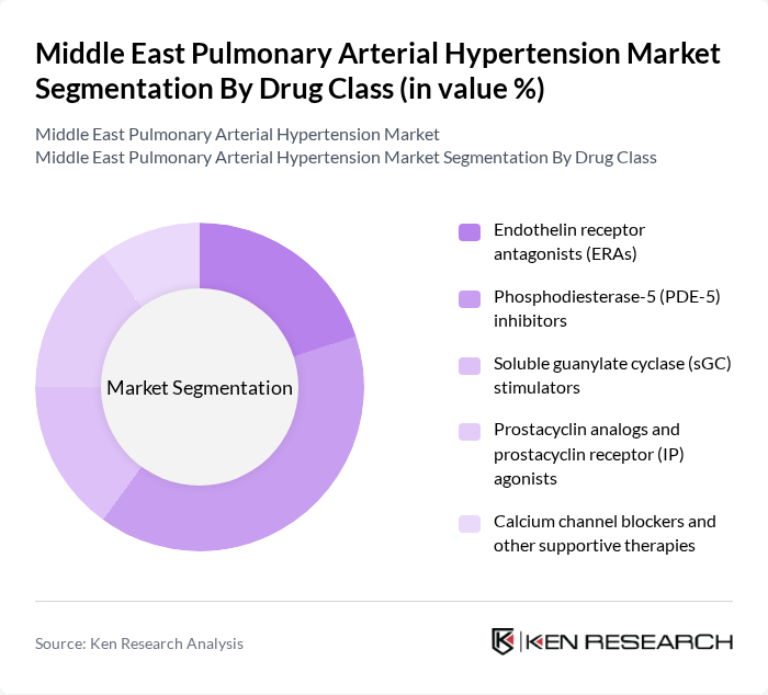 Middle East Pulmonary Arterial Hypertension Market segmentation by Drug Class. Middle East Pulmonary Arterial Hypertension Market segmentation by Drug Class.