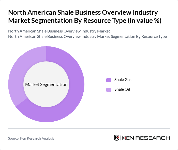 North American Shale Business Overview Industry Market segmentation by Resource Type.