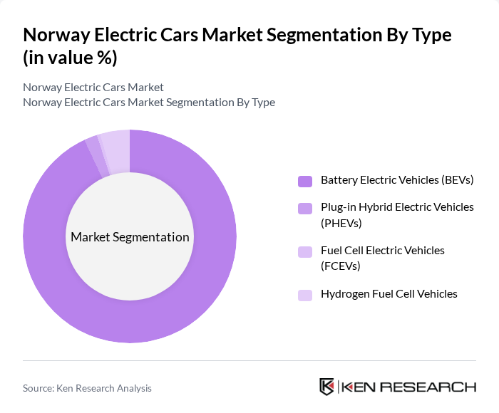 Norway Electric Cars Market segmentation by Type.