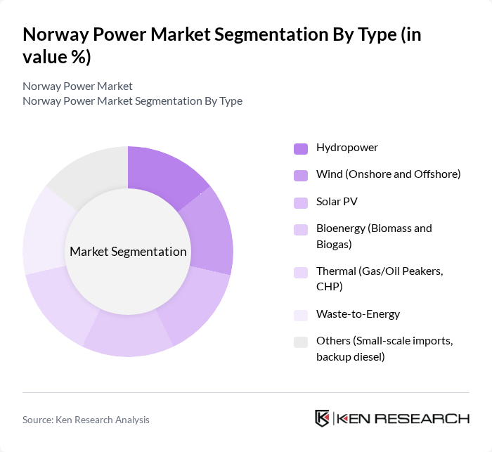 Norway Power Market segmentation by Type.