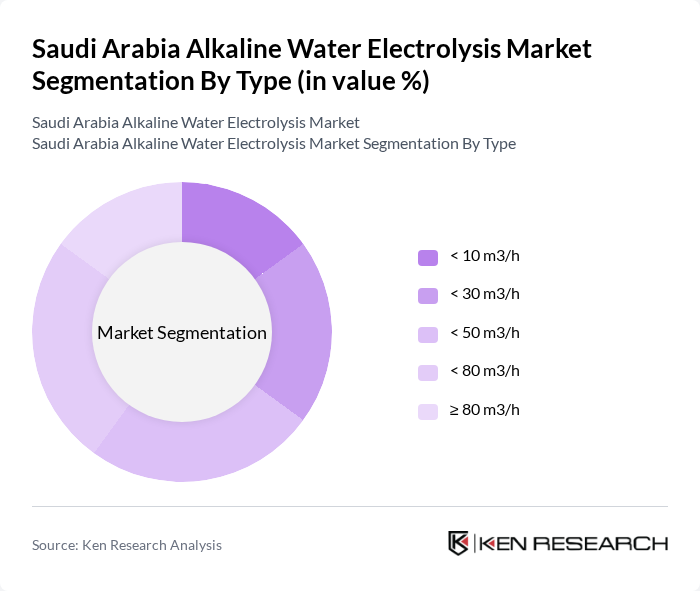Saudi Arabia Alkaline Water Electrolysis Market segmentation by Type.
