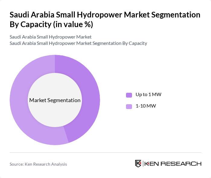 Saudi Arabia Small Hydropower Market segmentation by Capacity. Saudi Arabia Small Hydropower Market segmentation by Capacity.