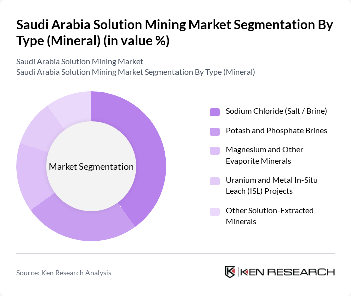 Saudi Arabia Solution Mining Market segmentation by Type (Mineral). Saudi Arabia Solution Mining Market segmentation by Type (Mineral).