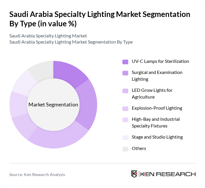 Saudi Arabia Specialty Lighting Market segmentation by Type.