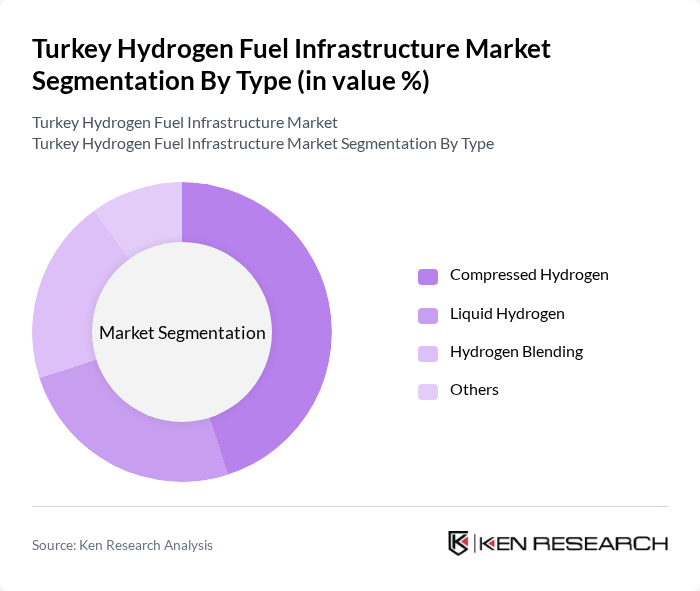 Turkey Hydrogen Fuel Infrastructure Market segmentation by Type.