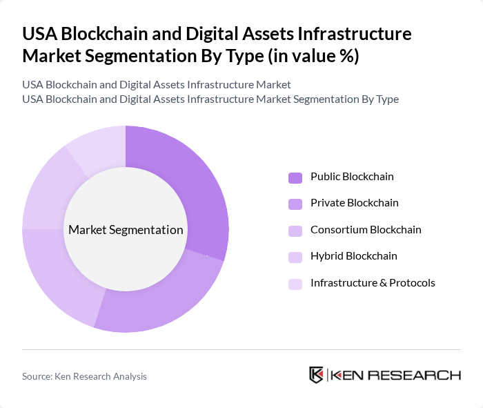 USA Blockchain and Digital Assets Infrastructure Market segmentation by Type. USA Blockchain and Digital Assets Infrastructure Market segmentation by Type.