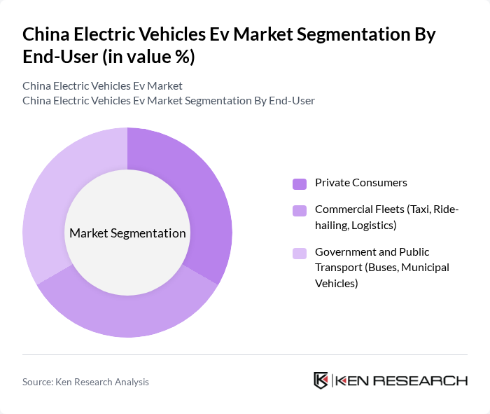 China Electric Vehicles Ev Market segmentation by End-User.