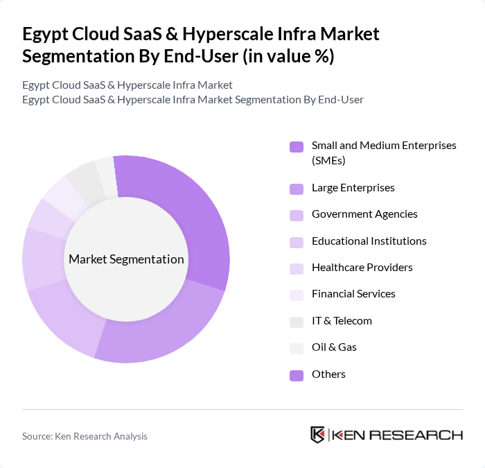 Egypt Cloud SaaS & Hyperscale Infra Market segmentation by End-User.
