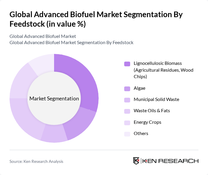 Global Advanced Biofuel Market segmentation by Feedstock. Global Advanced Biofuel Market segmentation by Feedstock.